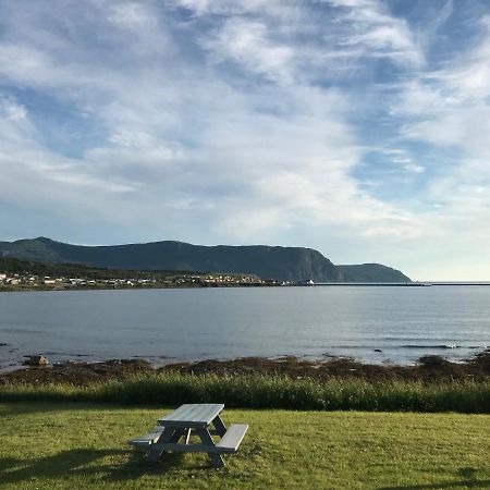 Wildflowers Country Inn Rocky Harbour Exteriér fotografie