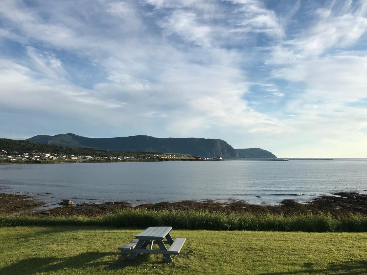 Wildflowers Country Inn Rocky Harbour Exteriér fotografie